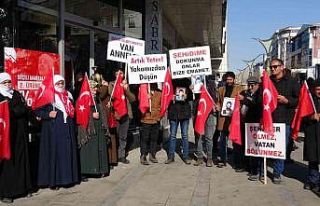 Vanlı ailelerin evlat nöbeti 53’üncü haftasına...