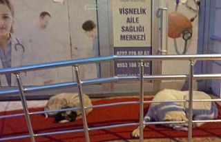 Vişnelik Aile Sağlığı Merkezi önünde sevimli...