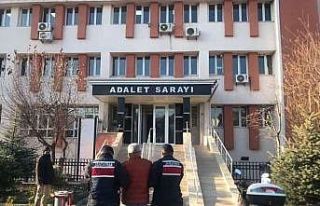 Yakalanan hırsızlık şüphelisi tutuklandı