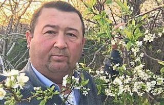 Yalancı bahar erik ağacına çiçek açtırdı