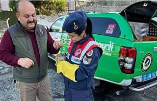 Yaralı atmacaya jandarma şefkati