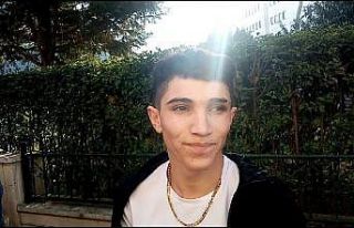 Yavru kediyi ağaçtan kurtaran genç: “Kertenkele...