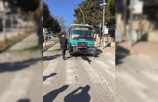 Yolcu minibüsü refüjdeki ağaca çarptı: 1 yaralı