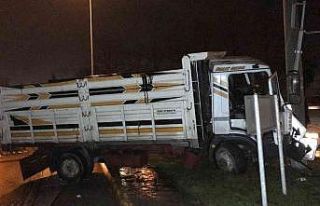 Yön tabelasının direğine çarptı: 2 yaralı