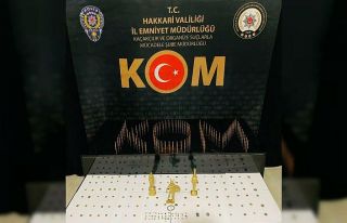 Yüksekova’da 111 adet sikke ele geçirildi
