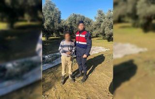 Zeytin hırsızı suçüstü yakalandı