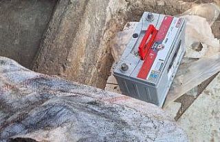 Zeytin ve akü hırsızı yakalandı