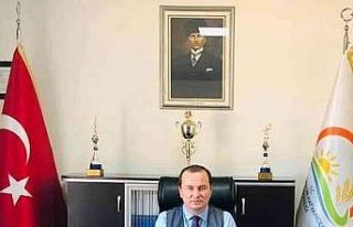 Zeytinde hasat sona erdi, üreticinin yüzü güldü