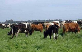 2023 yılı otlatma ve mera planı açıklandı