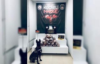 20 kilo uyuşturucuyu tırın yatak kısmına gizlemiş