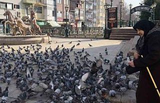 7’den 70’e hayvan sevgisi