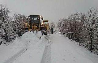 Adıyaman’da 85 köy, 148 mezra yolu ulaşıma kapandı