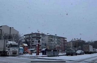 Afyonkarahisar’da kar yağışı etkili oldu