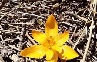 Akdağ’da kış ve bahar mevsimleri bir arada görüntülendi