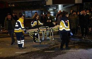 Alkollü sürücüyü palmiye ağacı durdurdu