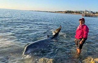 Antalya’da otele yerleşen depremzede aile, kıyıya...