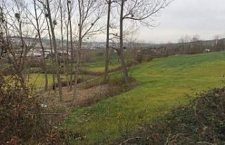 Arpada külleme hastalığına karşı ilaçlama uyarısı