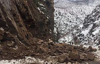 Artvin-Ardahan karayolunda bir heyelan daha