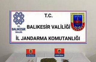 Balıkesir’de jandarmadan 35 şüpheliye gözaltı