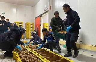 Bartın’dan deprem bölgesine 87 ton kivi gönderildi