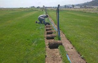 Başkan Demir: “Üretimini yapacağımız rulo çim...