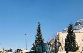 Batman Üniversitesi deprem bölgesindeki arama kurtarma...