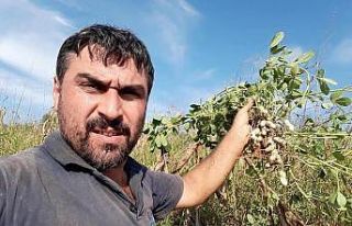 Bayram günü abisini öldüren sanık: "Hakkımı...