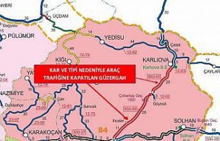 Bingöl-Erzurum karayolu araç trafiğine kapatıldı