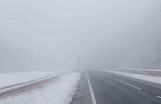 Bolu Dağı’nın Düzce geçişinde kar ve sis etkili...