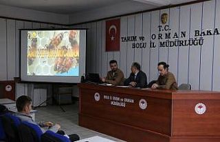 Bolu’da arıcılık kursu başladı