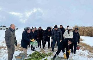 Çaldıran’da yaban hayvanları için yemleme çalışması...
