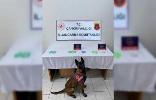Çankırı’da uyuşturucu operasyonunda bir şahıs...