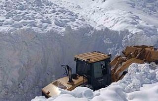 Çatak’ta çığ düştü: 9 yerleşim yerinin yolu...