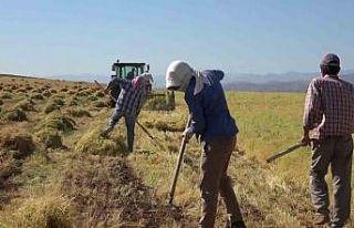 Çiftçi kayıt sistemi ürün güncelleme başvuru...
