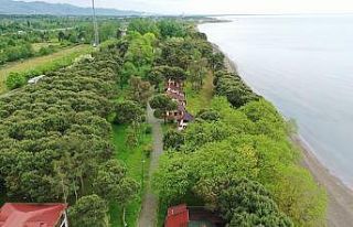 Çınarsuyu depremzedelere yuva oluyor