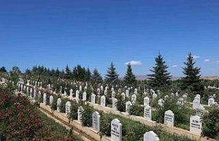 Covid-19 Sivas’ta 809 Can Aldı