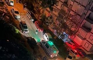 Dayısını bıçaklayıp öldürdü