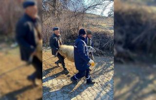 Deprem bölgesi için hayvan bağışladılar