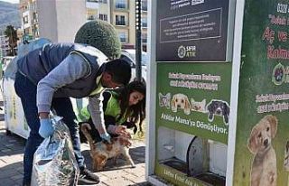 Deprem bölgesindeki sokak hayvanları unutulmadı