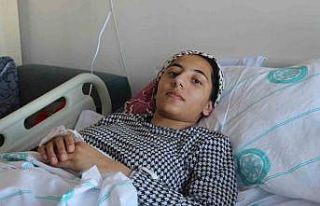 Deprem günü kar topu oymalarına izni çıkmadı,...