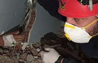 Depremin 82. saatinde enkazdan canlı olarak çıkartıldı
