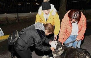 Depremzede köpek Bella İstanbul’da yeni ailesine...