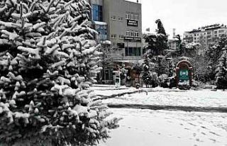 Develi beyaza büründü