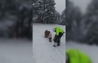 Devriye gezen trafik ekiplerinden kar altında yiyecek...