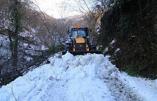 Doğu Karadeniz’de kar nedeniyle kapalı 110 köy...
