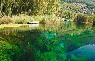 Dünyadaki sulak alanların yüzde 35’i 50 yılda...