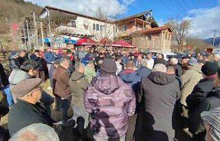 Dut ağacını budamak için çıktığı merdivende...