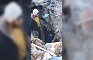 Enkaz altından çıkartılan 14 günlük buzağı...