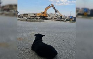 Enkaz başından ayrılmayan can dost