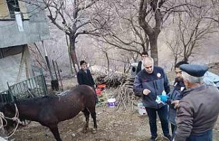 Enkazdan 21 gün sonra canlı çıkarıldı